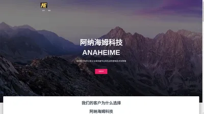 AE | 阿纳海姆科技 – 网站搭建&内容营销