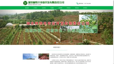 荆门林牧丰农业公司官网|湖北林牧丰农业开发有限责任公司,荆门花椒基地,荆门花椒合作社,荆门花椒种植,荆门花椒种苗销售,荆门花椒加工厂,荆门花椒种植基地,湖北花椒种植,湖北荆门花椒,湖北林牧丰农业开发有限责任公司,专业花椒生产基地,荆门金键盘网络网站建设公司客户