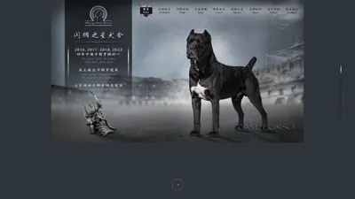 首页 - 卡斯罗_赛级卡斯罗_cane corso-闪耀之星犬舍