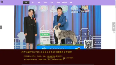 功夫熊猫犬舍官网 CKU单犬种边牧犬舍_www.gfxmkennel.com