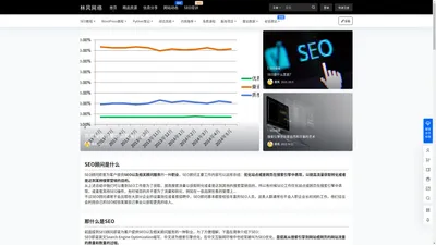 SEO顾问_专业SEO网站优化服务 - 林风网络