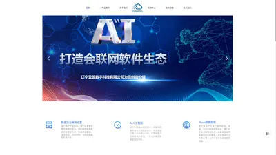 APP开发定制,系统开发,python程序处理 - 沈阳软件开发公司