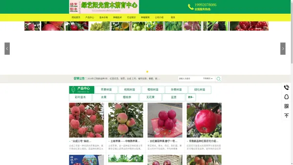 新品种苹果树苗,矮化苹果苗,樱桃树苗品种大全,矮化樱桃苗,樱桃李苗,一根棍樱桃树苗绿艺阳光繁育基地