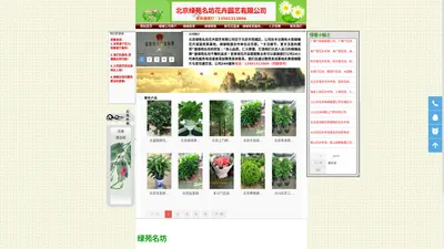 北京租花公司,北京绿植租摆公司,北京花卉租赁公司-北京绿苑花卉公司