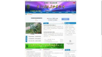 【批发销售】九叶青花椒苗|香椿苗|黄柏苗|黄栀子苗|价格|青花椒苗|杜仲苗|嫁接药枳壳苗