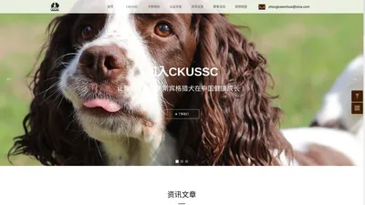 CKUSSC英国斯宾格猎犬