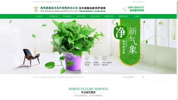 西安绿植租赁公司|办公绿植租赁|办公室花卉租摆|室内绿植养护|植物造景公司