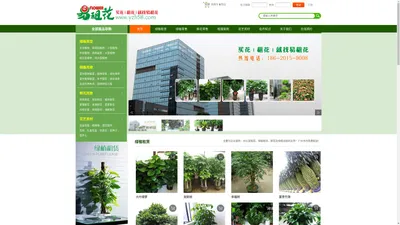 广州办公室租花,天河办公室租花,萝岗办公室租花,广州绿植租赁,广州买花租花--易租花,广州市易租花园林绿化有限公司为您提供专业的办公室绿植及鲜花租赁！