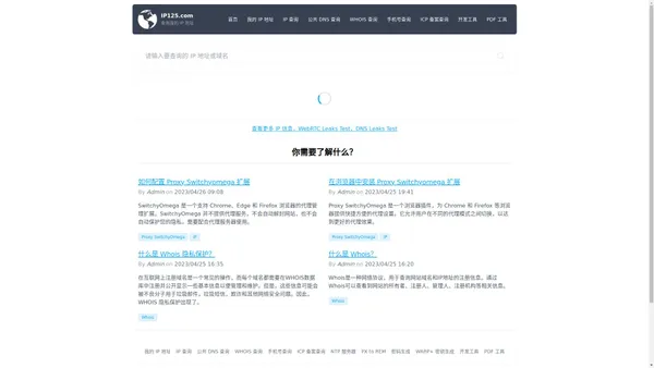 IP125.com - 查询我的 IP 地址 | WebRTC Leak Test | DNS Leaks Test