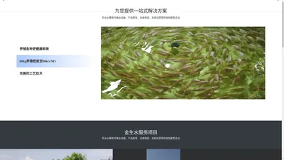 莱州金生水科技环保有限公司-自动投饵机-工厂化养殖-循环水养殖设备-模拟海水养殖系统