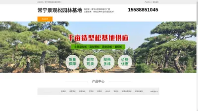 常宁造型黑松树-泰山迎客松-常宁平顶松培育-常宁景观松园林基地