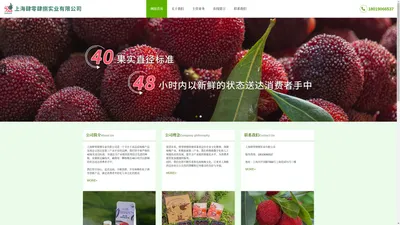 上海肆零肆捌实业有限公司_上海肆零肆捌实业有限公司,肆零肆捌,杨梅产品,杨梅周边文创