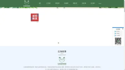 合肥云海教育咨询有限公司