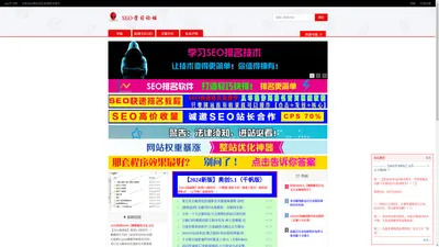 SEO学习论坛-AIChatGPT助力快速排名！  