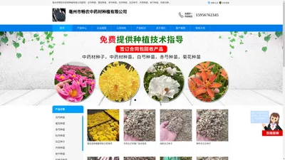 牡丹种苗价格_白芷种子批发_丹参种苗种植基地-亳州畅农中药材种植