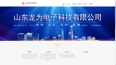 山东龙为电子科技有限公司