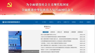 重庆小微企业融资担保公司