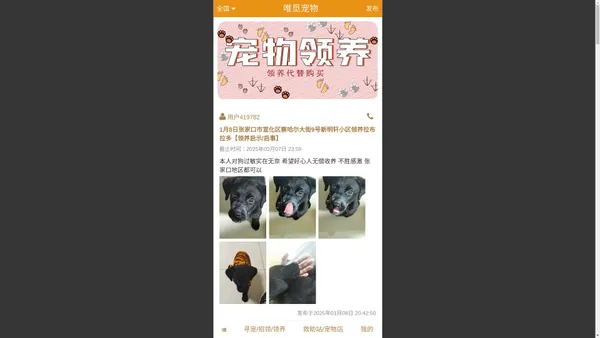 【唯觅宠物，网络寻宠平台】寻狗启示,寻猫启示,丢失宠物,找狗,招领启事,寻狗主人,寻宠启事