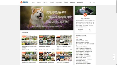 漂亮宠物百科网-分享猫咪,狗狗等宠物饲养训练知识百科