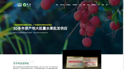 蓝粤网农业 | 廉江市丰业种植专业合作社官网 - 30多年原产地大批量水果批发供应 | 广东省级示范社 | 广东省标杆合作社 | 广东荔枝丰业示范基地