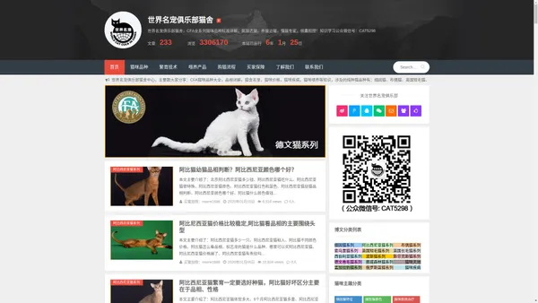 世界名宠俱乐部纯种猫舍 - 缅因猫_布偶猫_英国短毛猫_斯芬克斯猫_挪威森林猫_等等