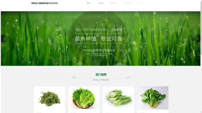 闻喜县口福蔬菜种植专业合作社