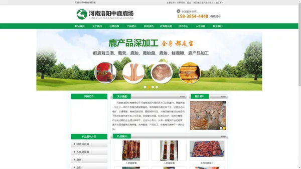 河南郑州登封鹿产品加工销售-洛阳郑州登封鹿茸现场采收价格-河南洛阳中鹿鹿场