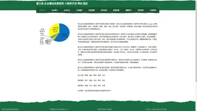 望江县 企业建站免费指导 小程序开发 帮扶 园区