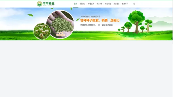 进口牧草种子_牧草种子批发_销售-优质牧草种子批发