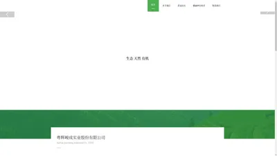 粤辉峻成实业股份有限公司