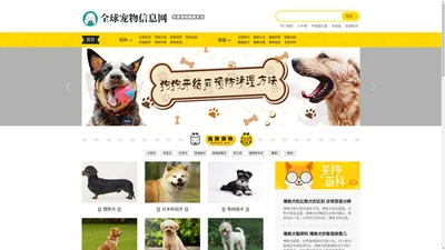 全球宠物信息网_宠物品种大全及图片_猫狗喂养训练医疗护理美容知识