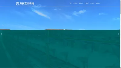 海安县双丰锦纶有限公司-锦纶弹力丝 | 包覆纱 | 加捻丝 | 羽毛纱-海安县双丰锦纶有限公司