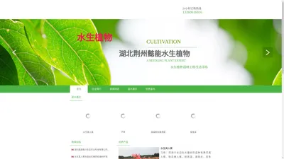 湖北懿能水生植物基地-净水植物批发-水生态治理-园林绿化公司