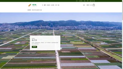 首页 | 农亲|格子田