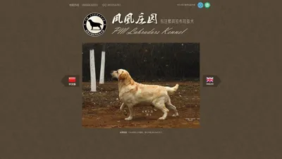 凤凰庄园拉布拉多犬舍 - 凤凰庄园犬舍