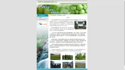 深圳中环油新能源有限公司 - China Petroleum Bio-Energy Company Limited