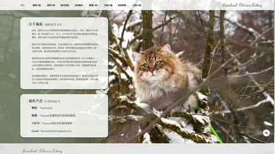 Vanaland 瓦娜西伯利亚森林猫舍