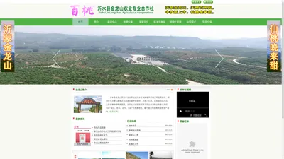 沂水县金龙山农业旅游专业合作社_金龙山蜜桃_金龙山旅游_沂蒙金龙山