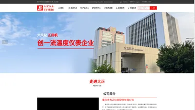 重庆市大正仪表股份有限公司