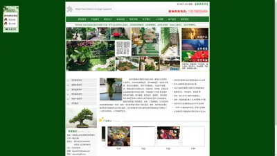 深圳市西海花港园艺有限公司|深圳室内花卉租赁|深圳室外花卉租赁|深圳植物花卉|深圳花卉|深圳花卉市场|深圳花卉植物|深圳花卉租摆