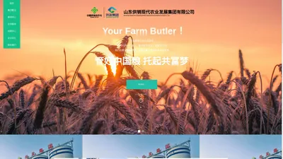 山东供销现代农业发展集团有限公司-企业官网