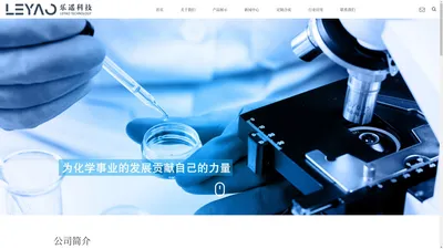 南京乐遥科技有限公司 - Nanjing Leyao Technology Co., LTD