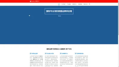 EMS Pioneer先锋国际主页