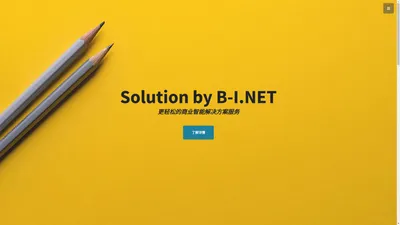 B-I.NET - 更轻松的商业智能解决方案服务