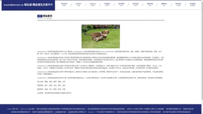 trustedinternet.cn-域名城-精品域名交易中介