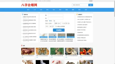 八字合婚网-免费生辰八字算命_测算婚姻_批八字