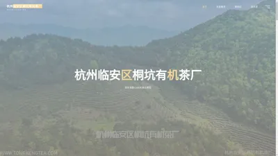 杭州桐坑有机茶厂-源自海拔1200米高山茶园-高山茶源头厂家