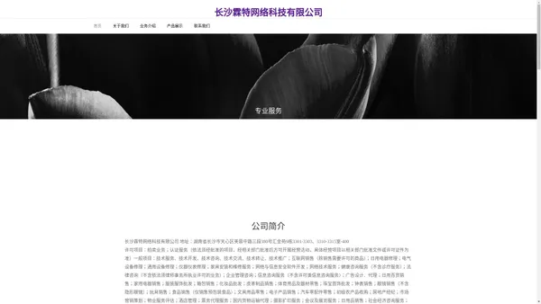 长沙霖特网络科技有限公司