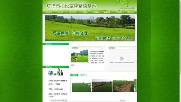 辽阳草坪|辽阳草坪批发|辽阳草坪基地|灯塔市柏松草坪繁殖基地