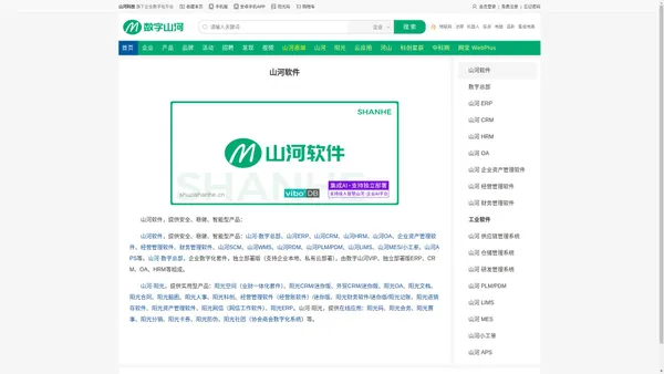 山河软件 — 数字总部、ERP、MES、APS、RDM